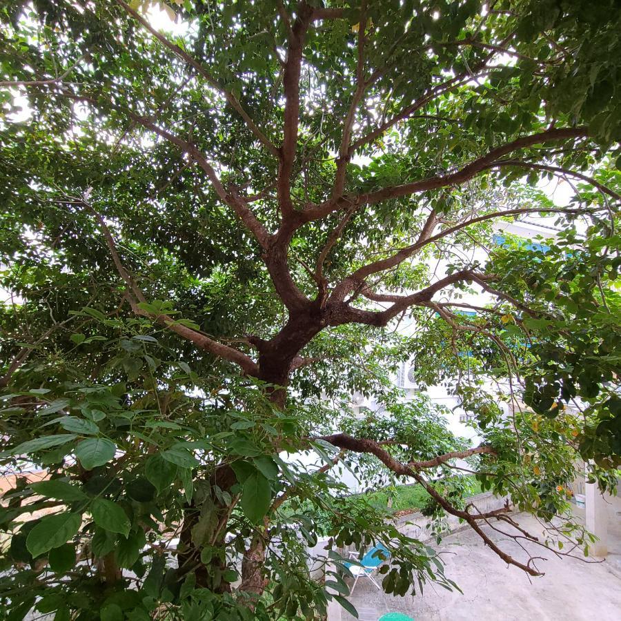 לינה וארוחת בוקר העיר העתיקה הנגצ'ון 白砂灣藍海之丘blue Ocean Hill מראה חיצוני תמונה