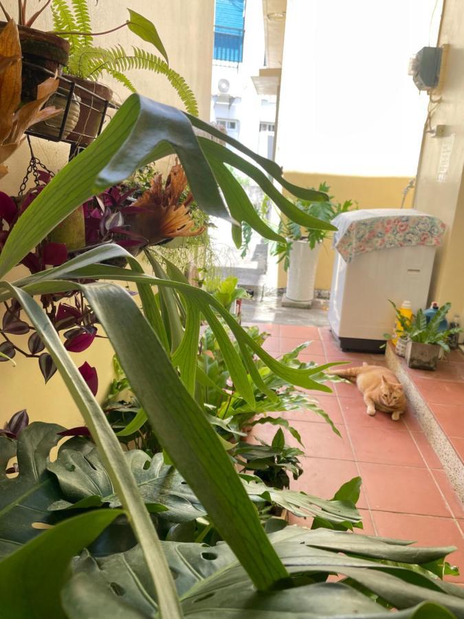 לינה וארוחת בוקר העיר העתיקה הנגצ'ון 白砂灣藍海之丘blue Ocean Hill מראה חיצוני תמונה